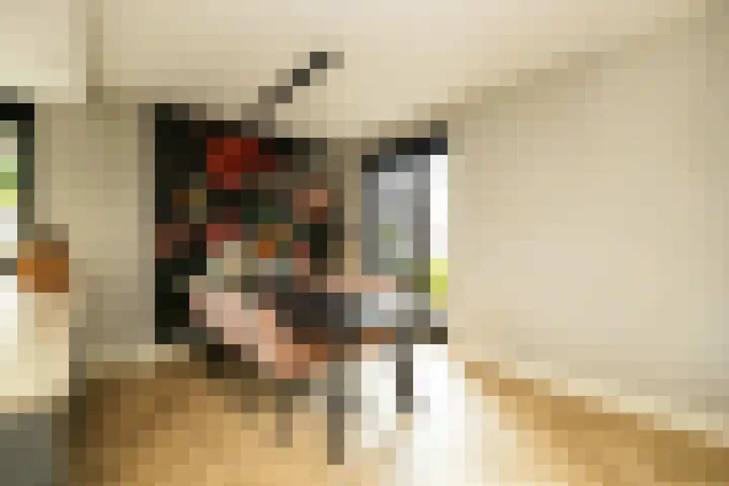 Pomonastraat 10 Naaldwijk thumbnail 13