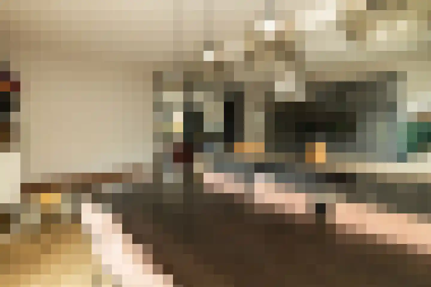Pomonastraat 10 Naaldwijk thumbnail 14