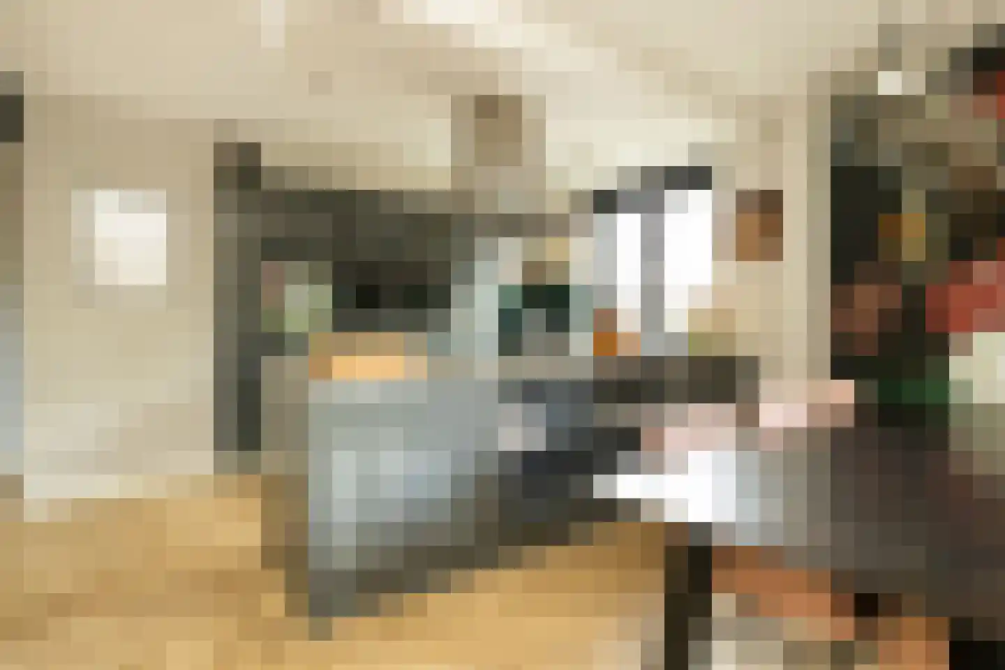 Pomonastraat 10 Naaldwijk thumbnail 15
