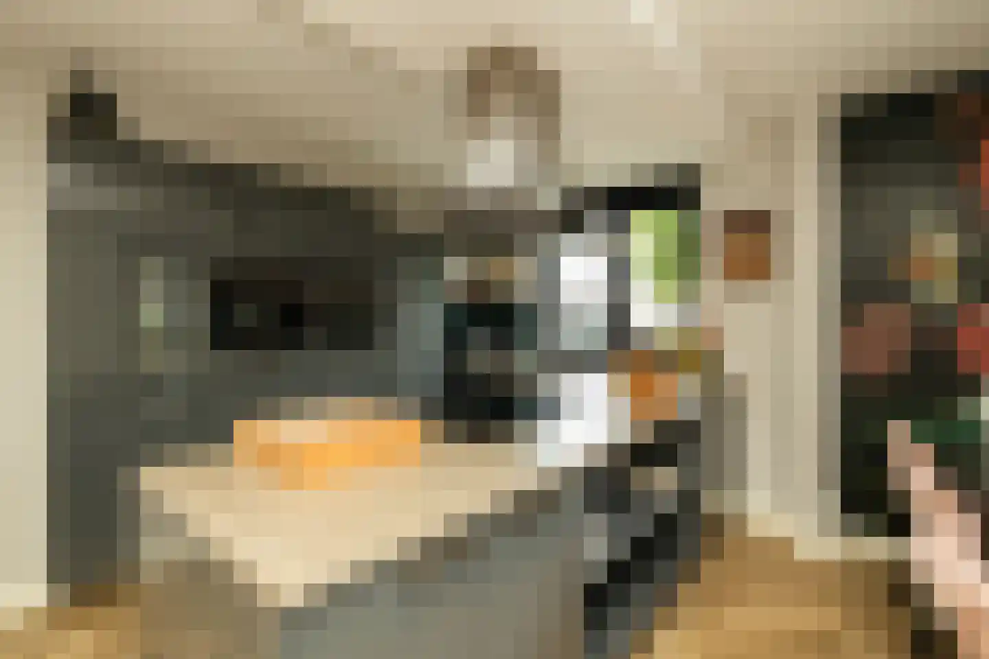 Pomonastraat 10 Naaldwijk thumbnail 16