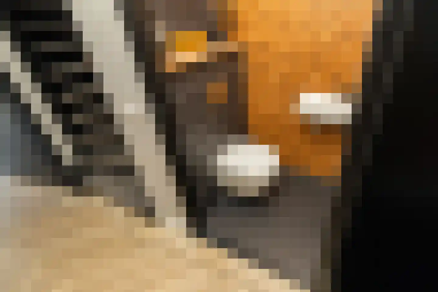 Pomonastraat 10 Naaldwijk thumbnail 17