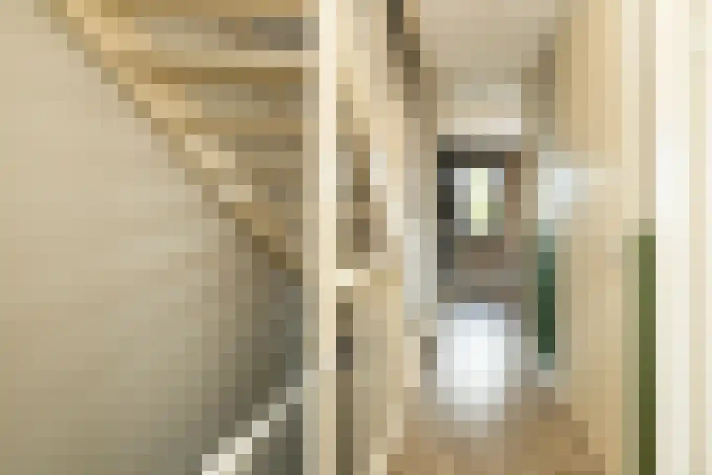 Pomonastraat 10 Naaldwijk thumbnail 18