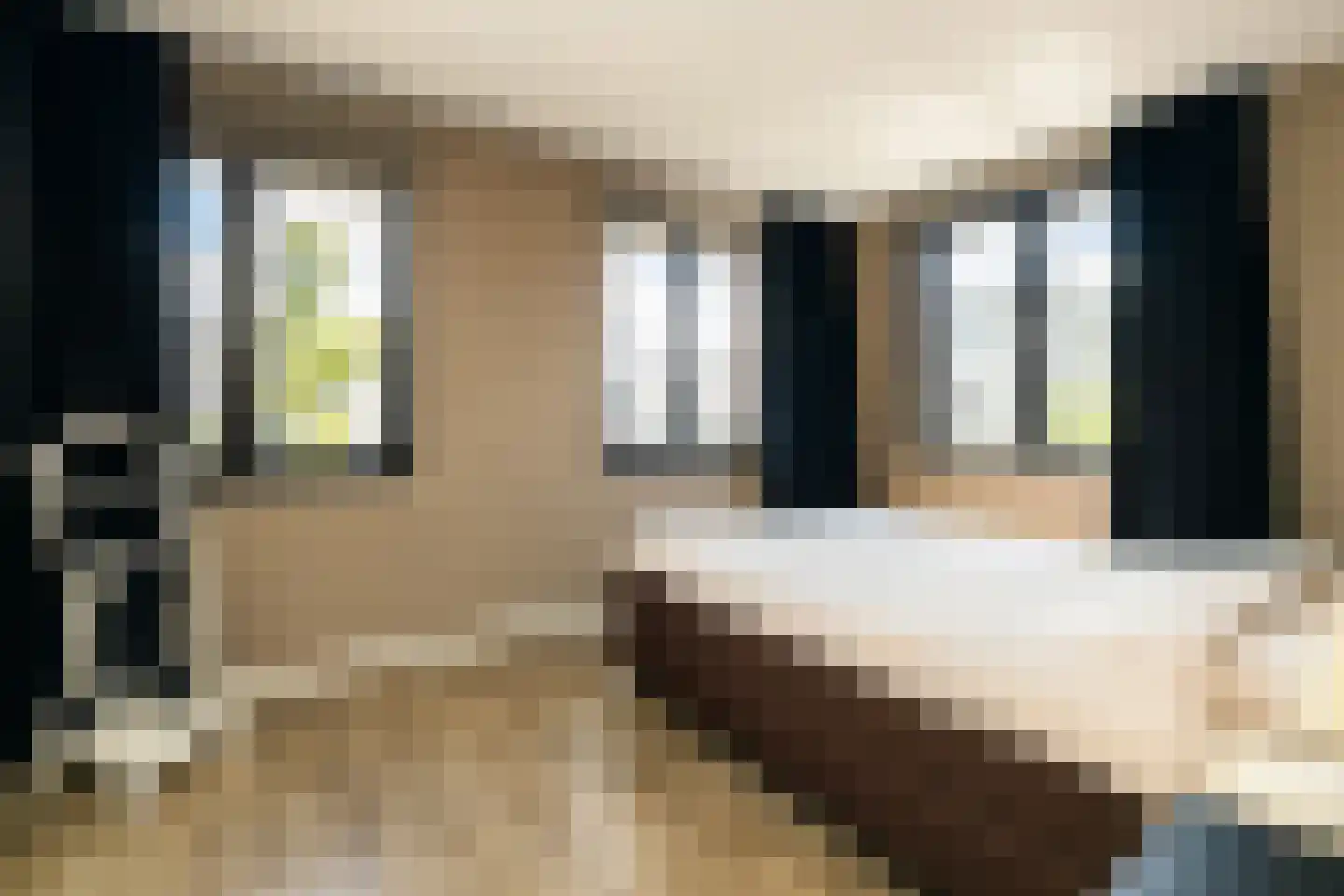 Pomonastraat 10 Naaldwijk thumbnail 20