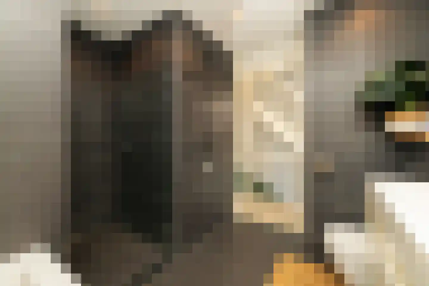 Pomonastraat 10 Naaldwijk thumbnail 23