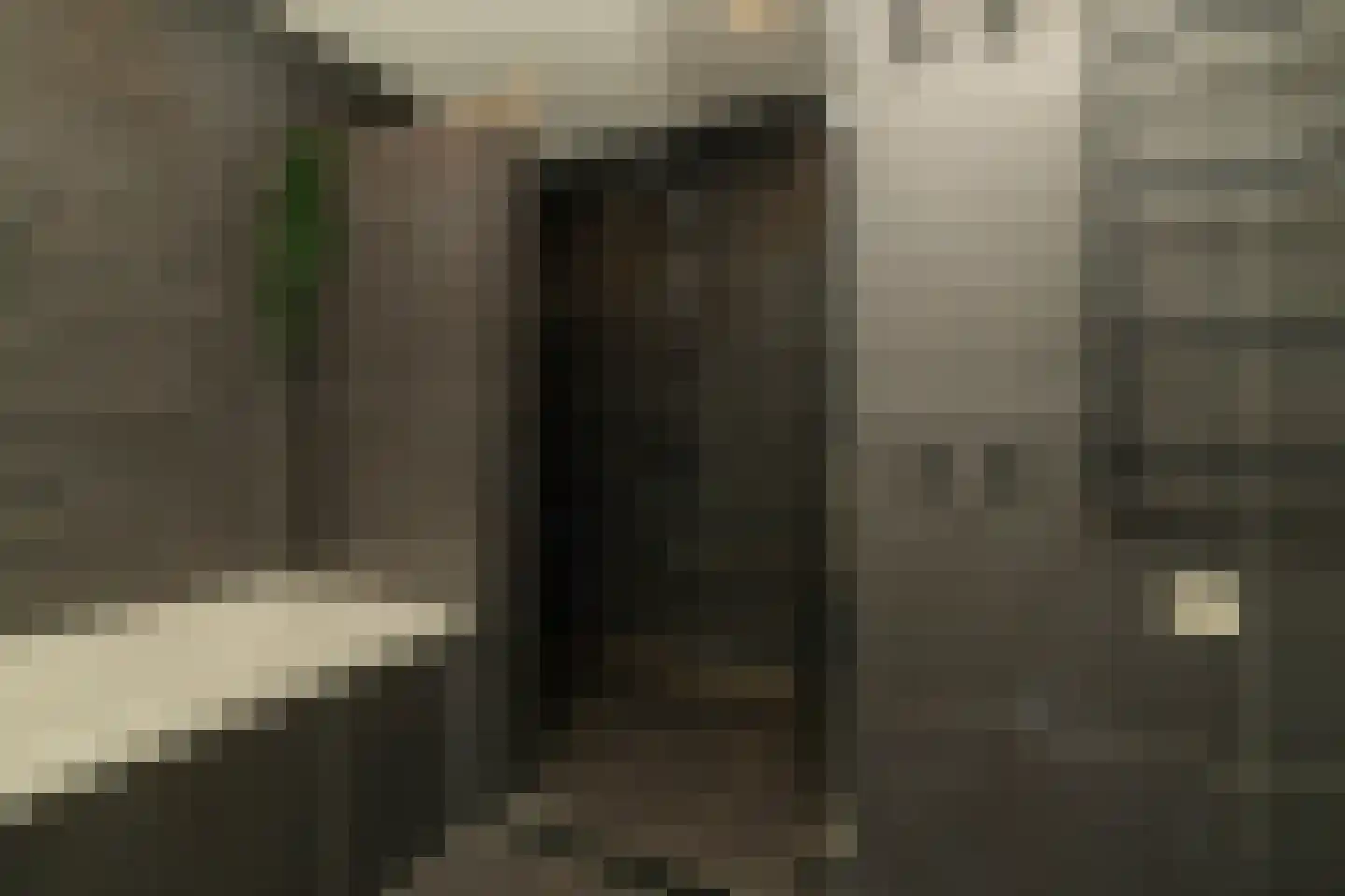 Pomonastraat 10 Naaldwijk thumbnail 25