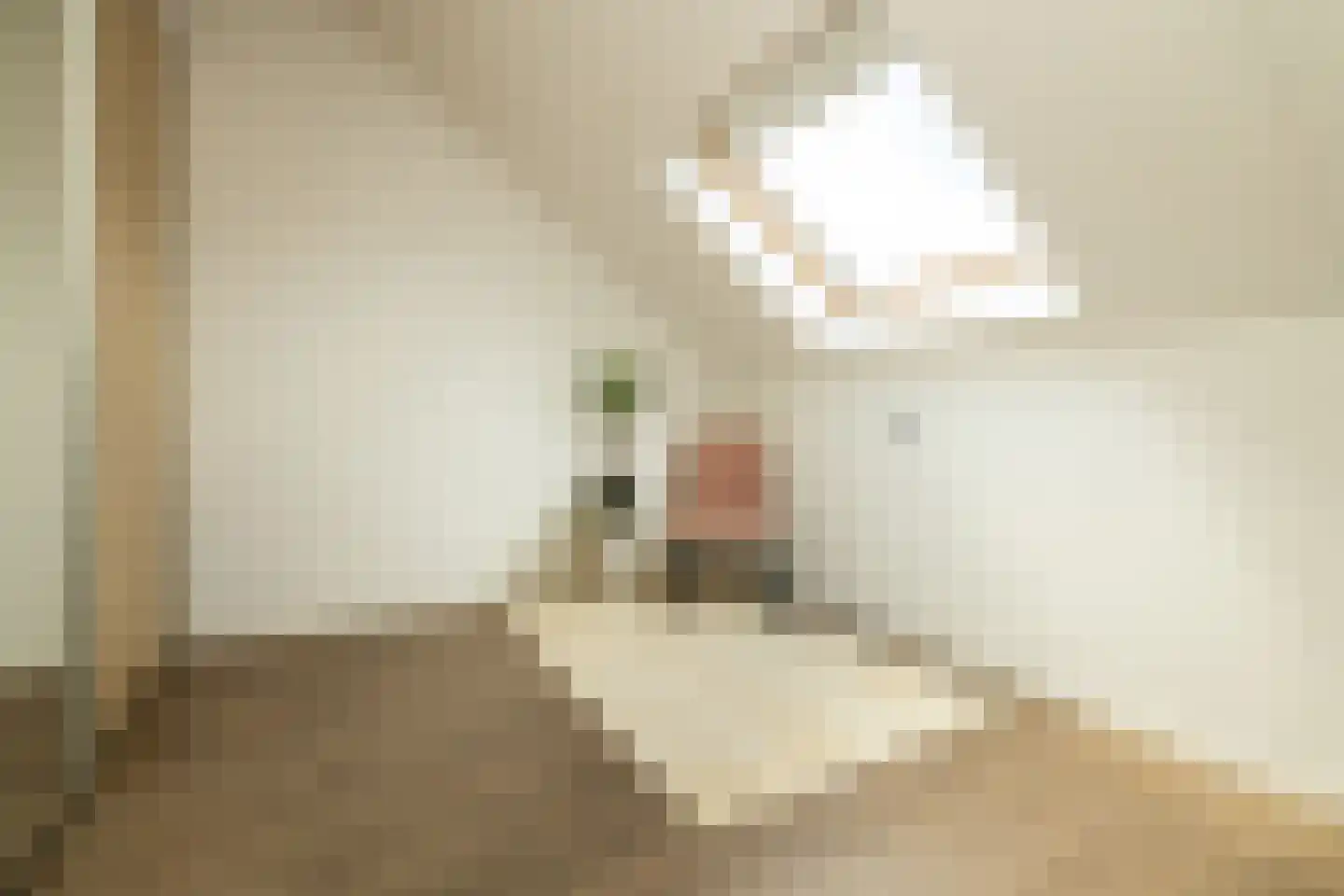 Pomonastraat 10 Naaldwijk thumbnail 35