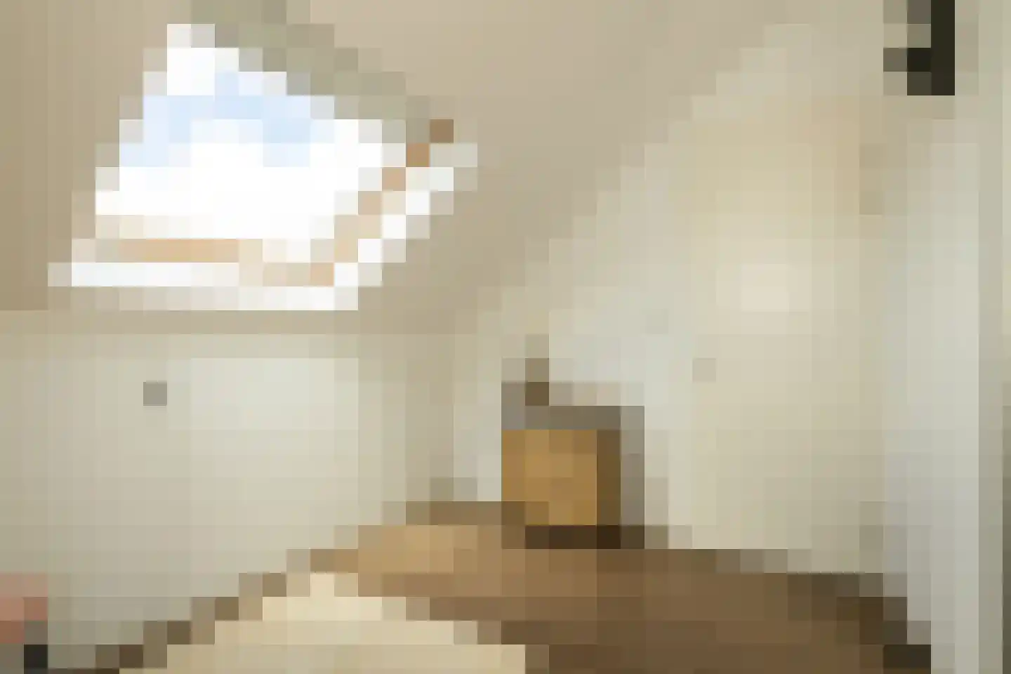 Pomonastraat 10 Naaldwijk thumbnail 36