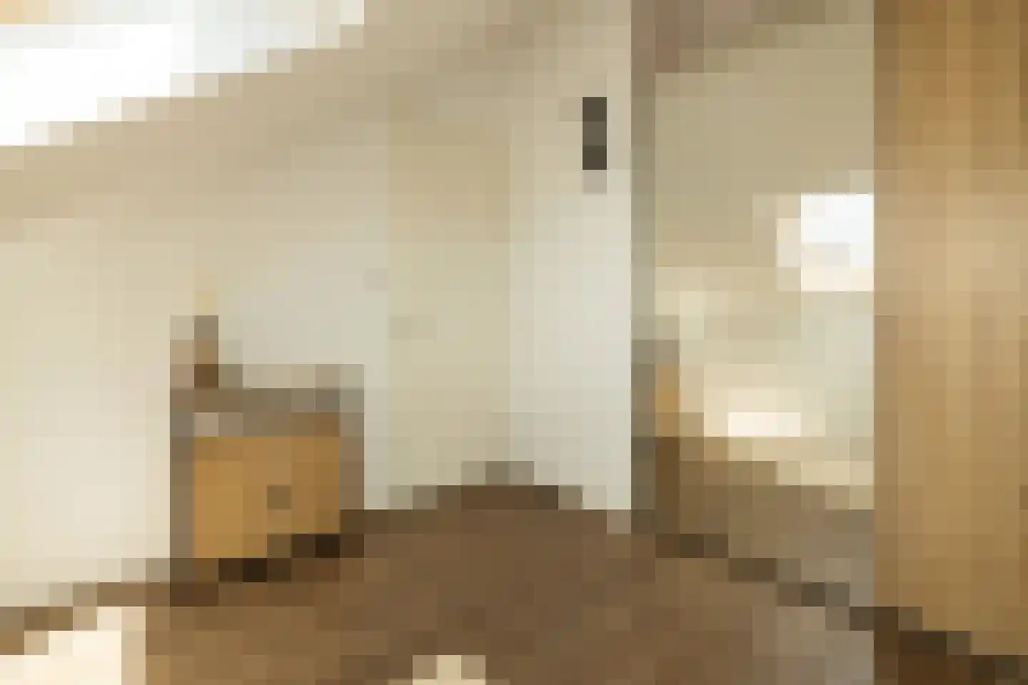 Pomonastraat 10 Naaldwijk thumbnail 37