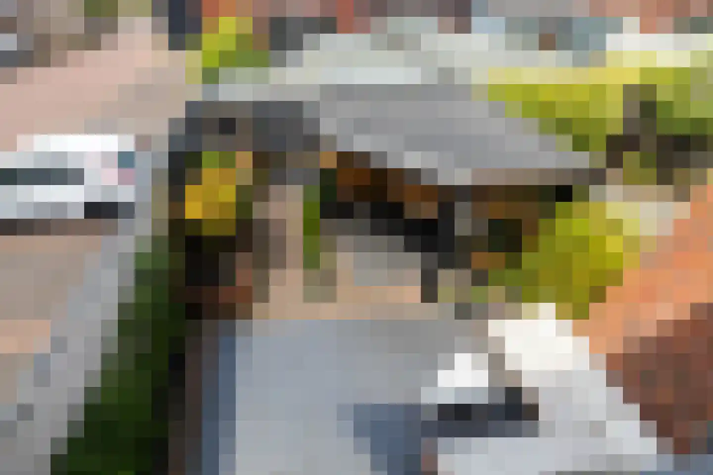 Pomonastraat 10 Naaldwijk thumbnail 39