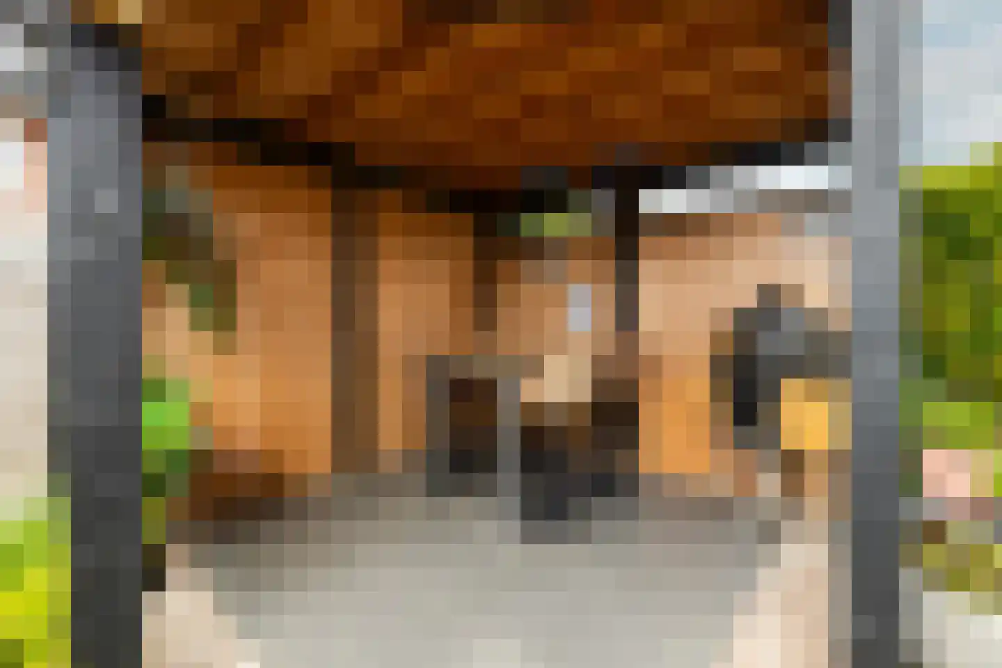 Pomonastraat 10 Naaldwijk thumbnail 44