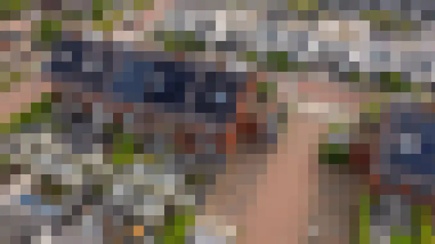 Pomonastraat 10 Naaldwijk thumbnail 51