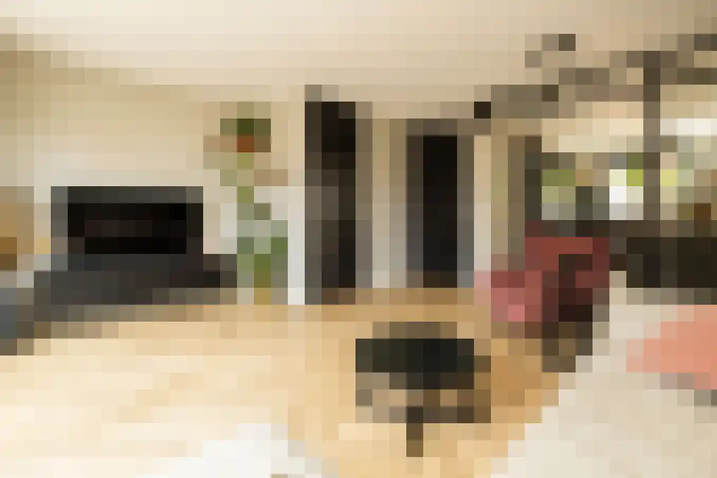 Pomonastraat 10 Naaldwijk thumbnail 7