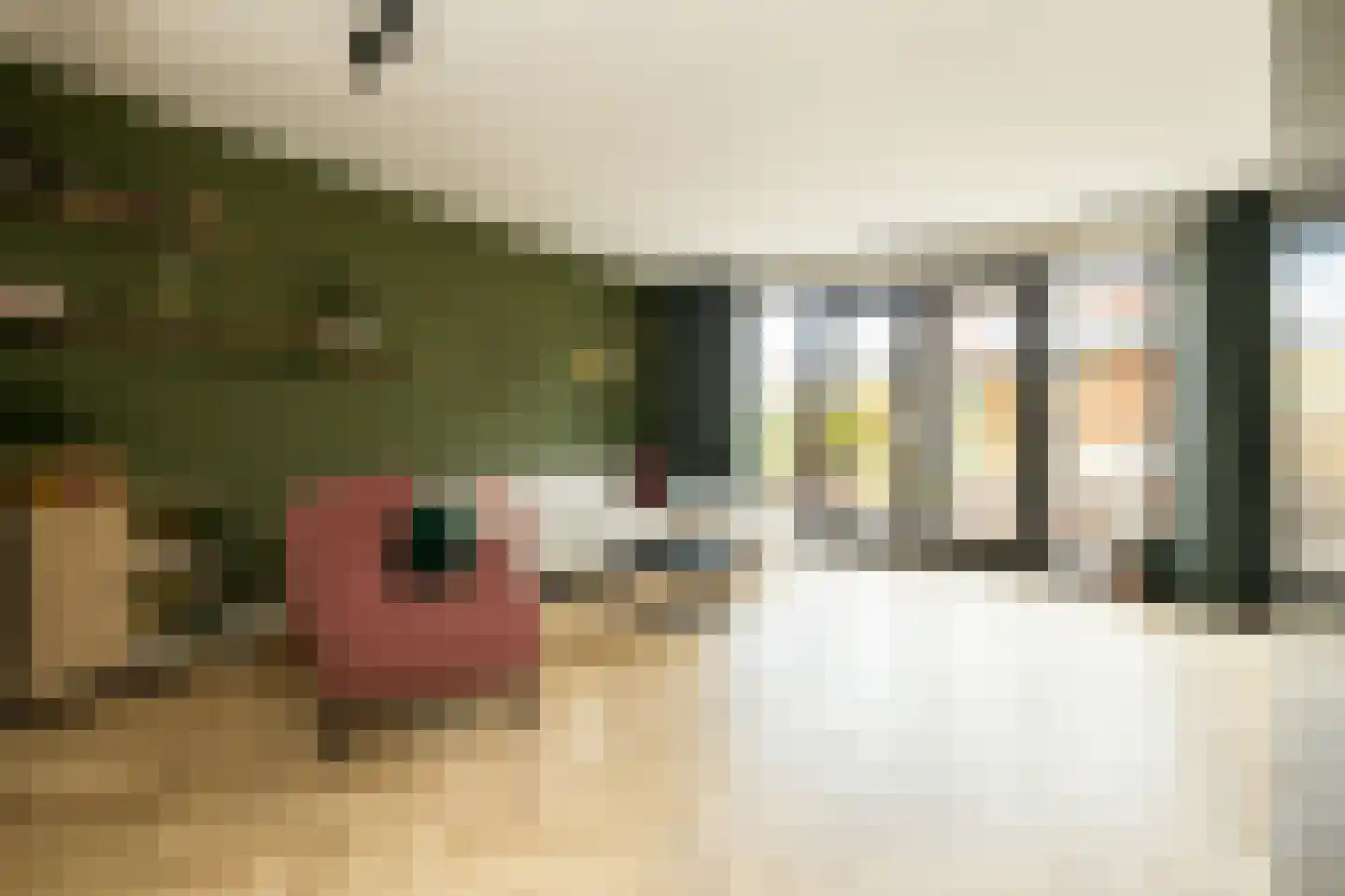 Pomonastraat 10 Naaldwijk thumbnail 9