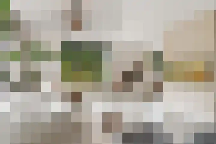 Pomonastraat 11 Nijmegen thumbnail 10