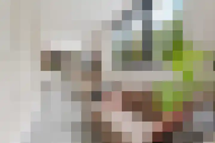 Pomonastraat 11 Nijmegen thumbnail 12