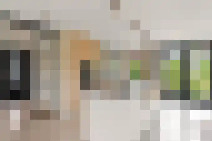 Pomonastraat 11 Nijmegen thumbnail 17