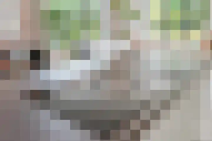 Pomonastraat 11 Nijmegen thumbnail 24