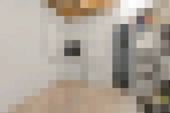 Pomonastraat 11 Nijmegen thumbnail 30