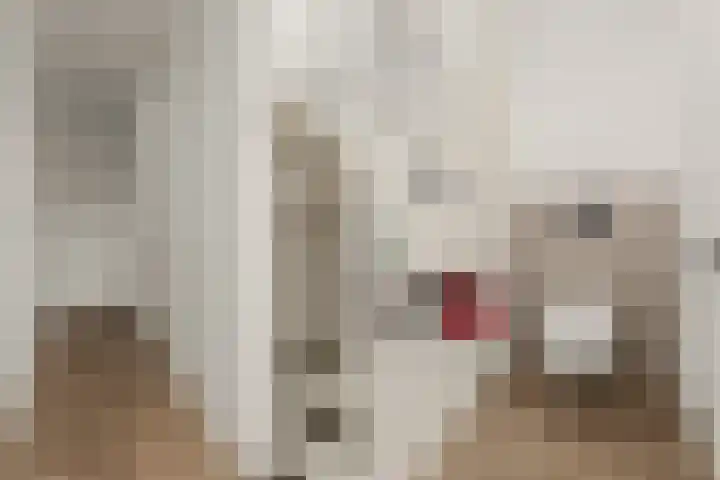 Pomonastraat 11 Nijmegen thumbnail 39
