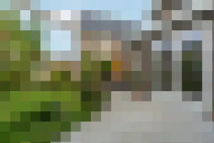 Pomonastraat 11 Nijmegen thumbnail 46