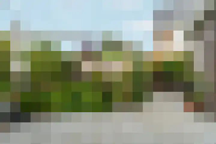 Pomonastraat 11 Nijmegen thumbnail 47