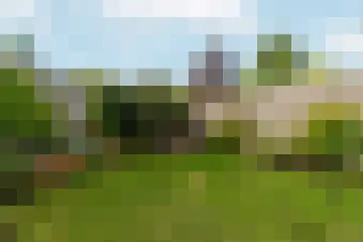 Pomonastraat 11 Nijmegen thumbnail 48