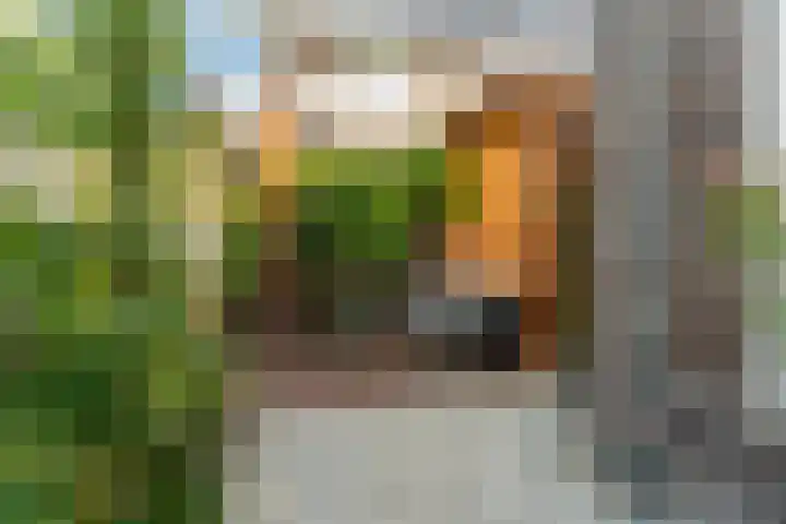 Pomonastraat 11 Nijmegen thumbnail 49