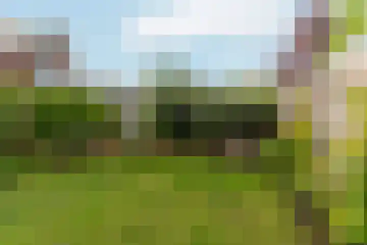 Pomonastraat 11 Nijmegen thumbnail 50