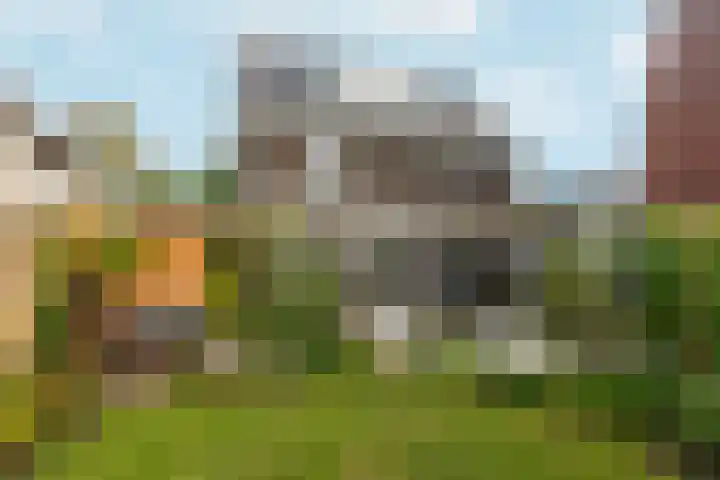 Pomonastraat 11 Nijmegen thumbnail 51