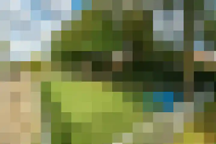 Pomonastraat 11 Nijmegen thumbnail 58