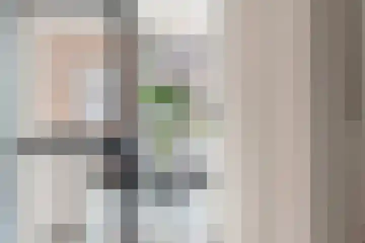 Pomonastraat 11 Nijmegen thumbnail 6