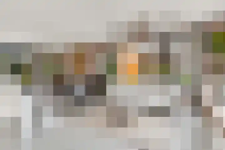 Pomonastraat 11 Nijmegen thumbnail 7