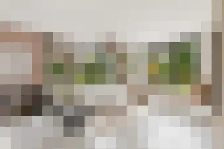 Pomonastraat 11 Nijmegen thumbnail 8