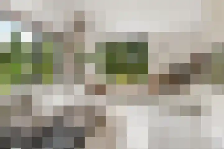 Pomonastraat 11 Nijmegen thumbnail 9