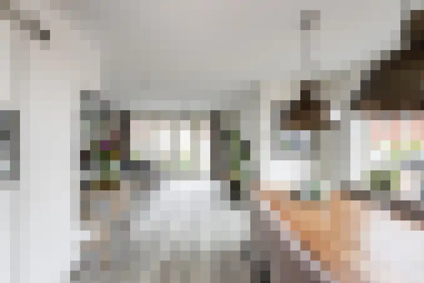 Pomonastraat 2 Naaldwijk thumbnail 10