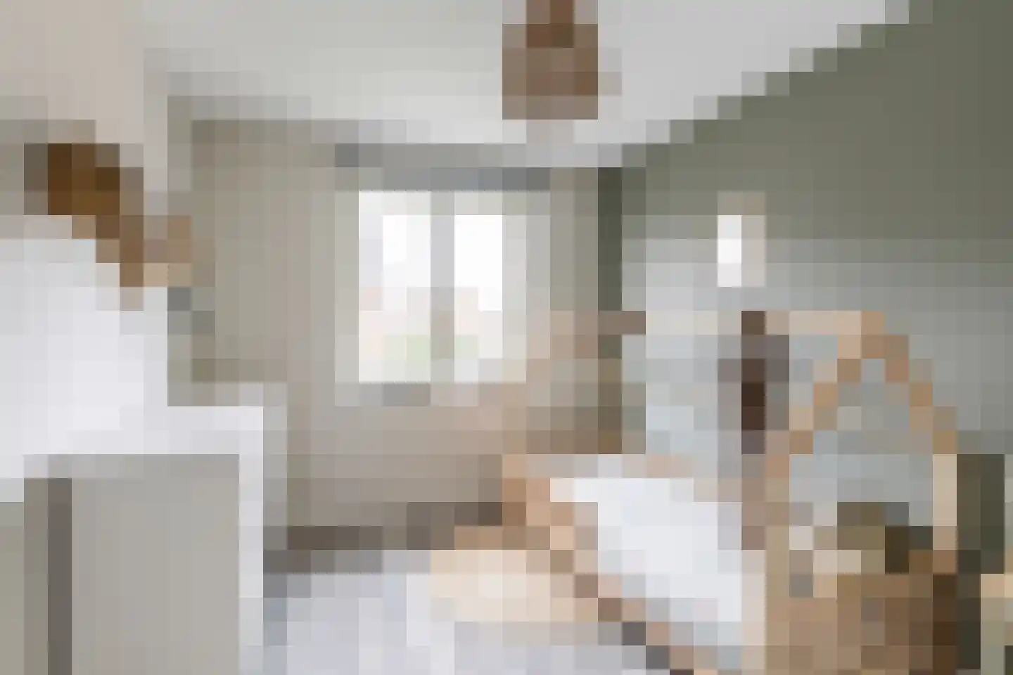 Pomonastraat 2 Naaldwijk thumbnail 22