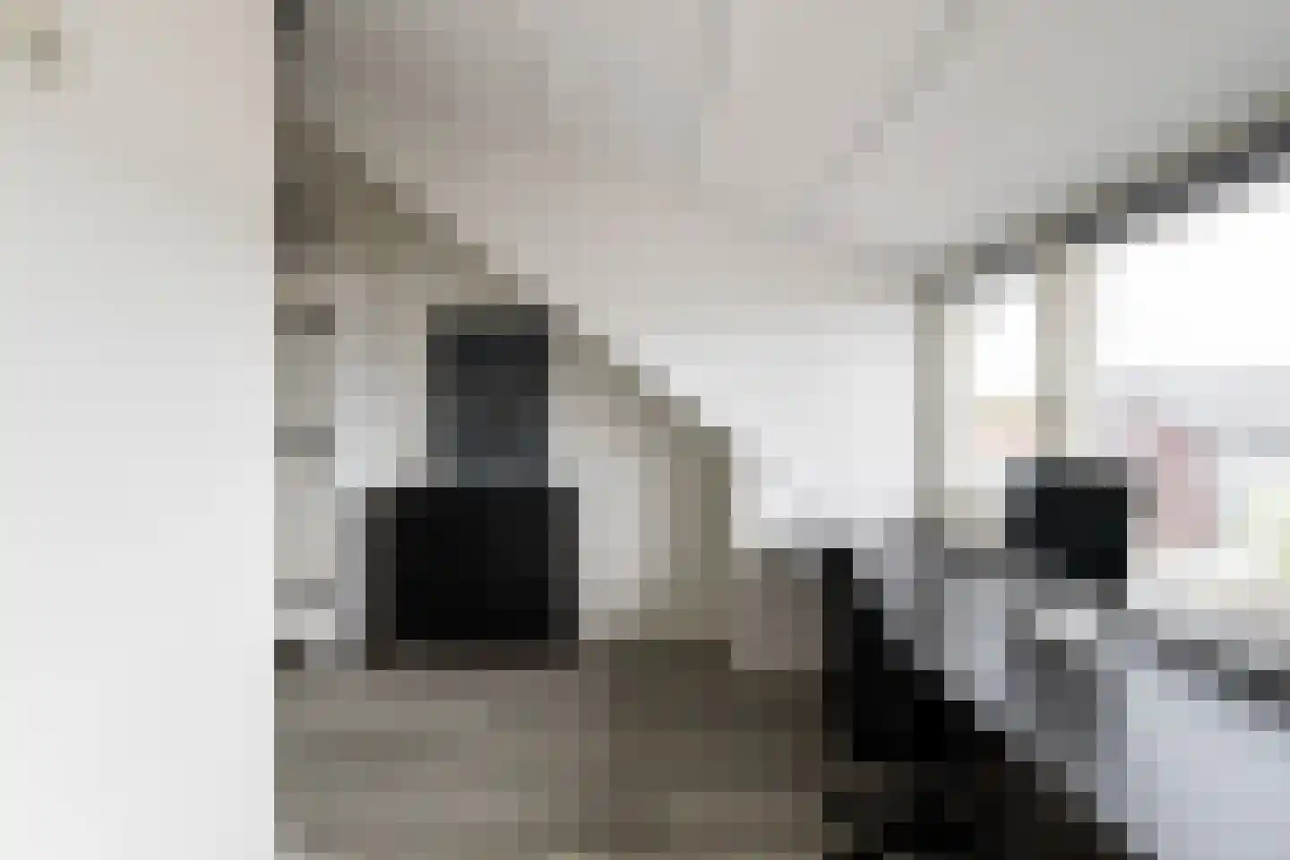 Pomonastraat 2 Naaldwijk thumbnail 30