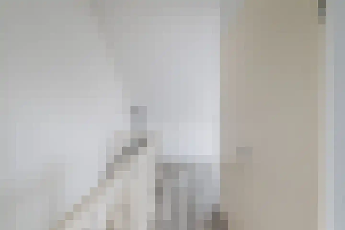 Pomonastraat 2 Naaldwijk thumbnail 33