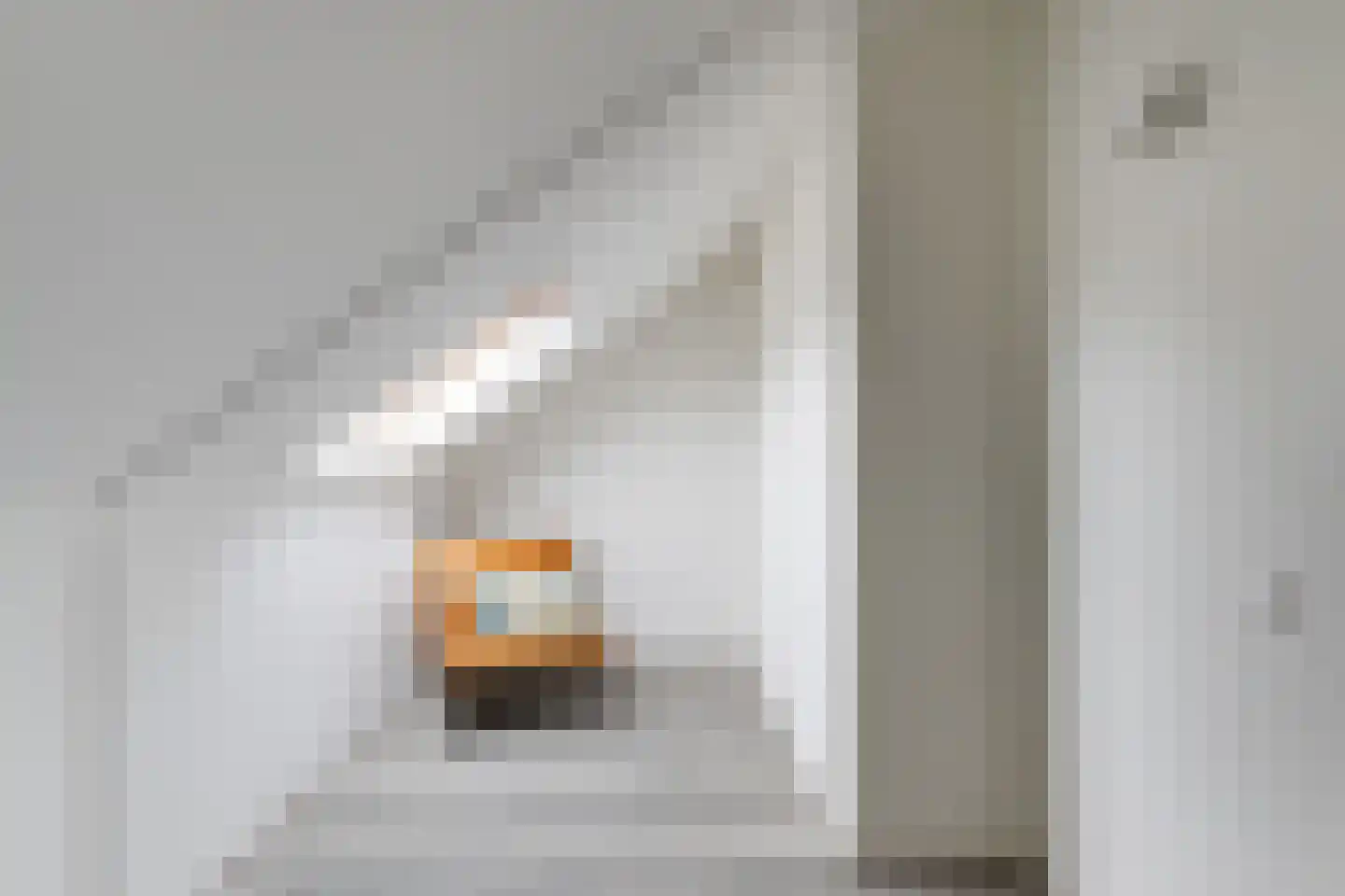 Pomonastraat 2 Naaldwijk thumbnail 34