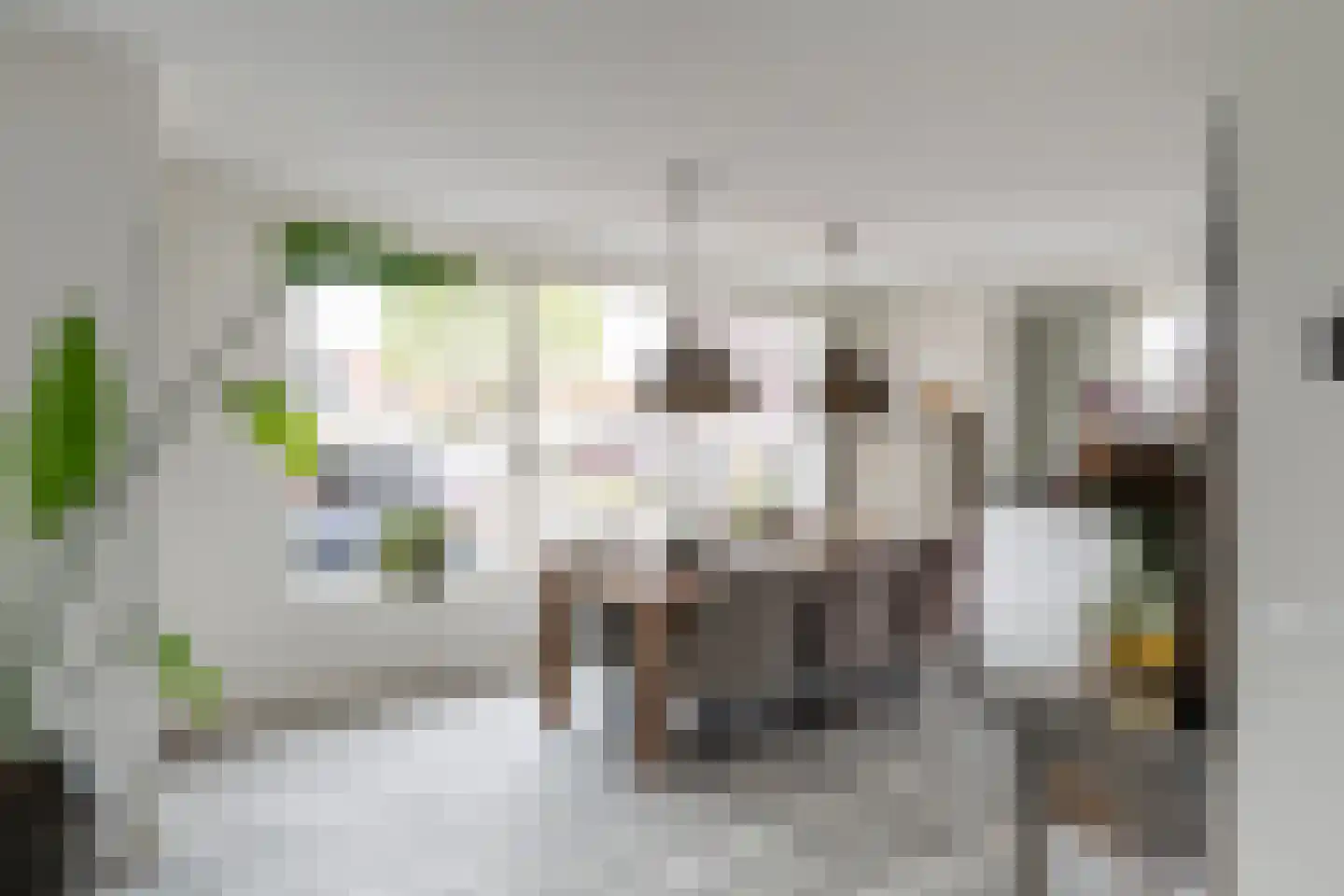 Pomonastraat 2 Naaldwijk thumbnail 5