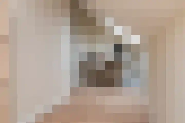 Pomonastraat 20 Naaldwijk thumbnail 31