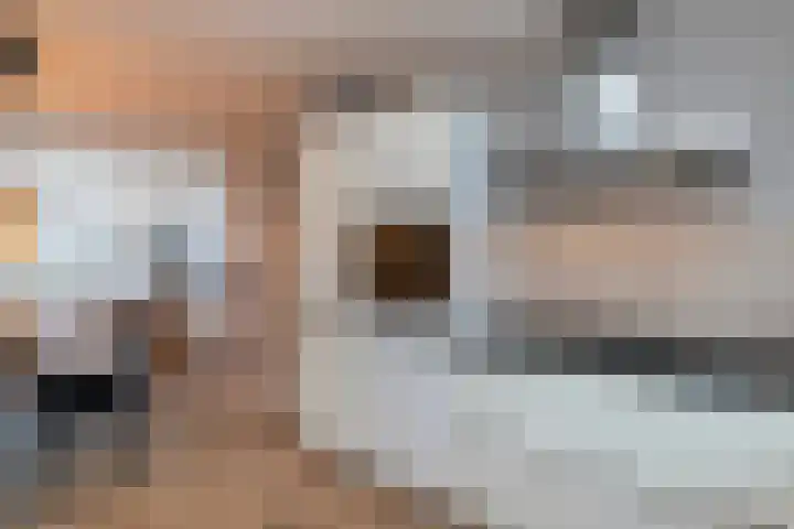 Pomonastraat 20 Naaldwijk thumbnail 9