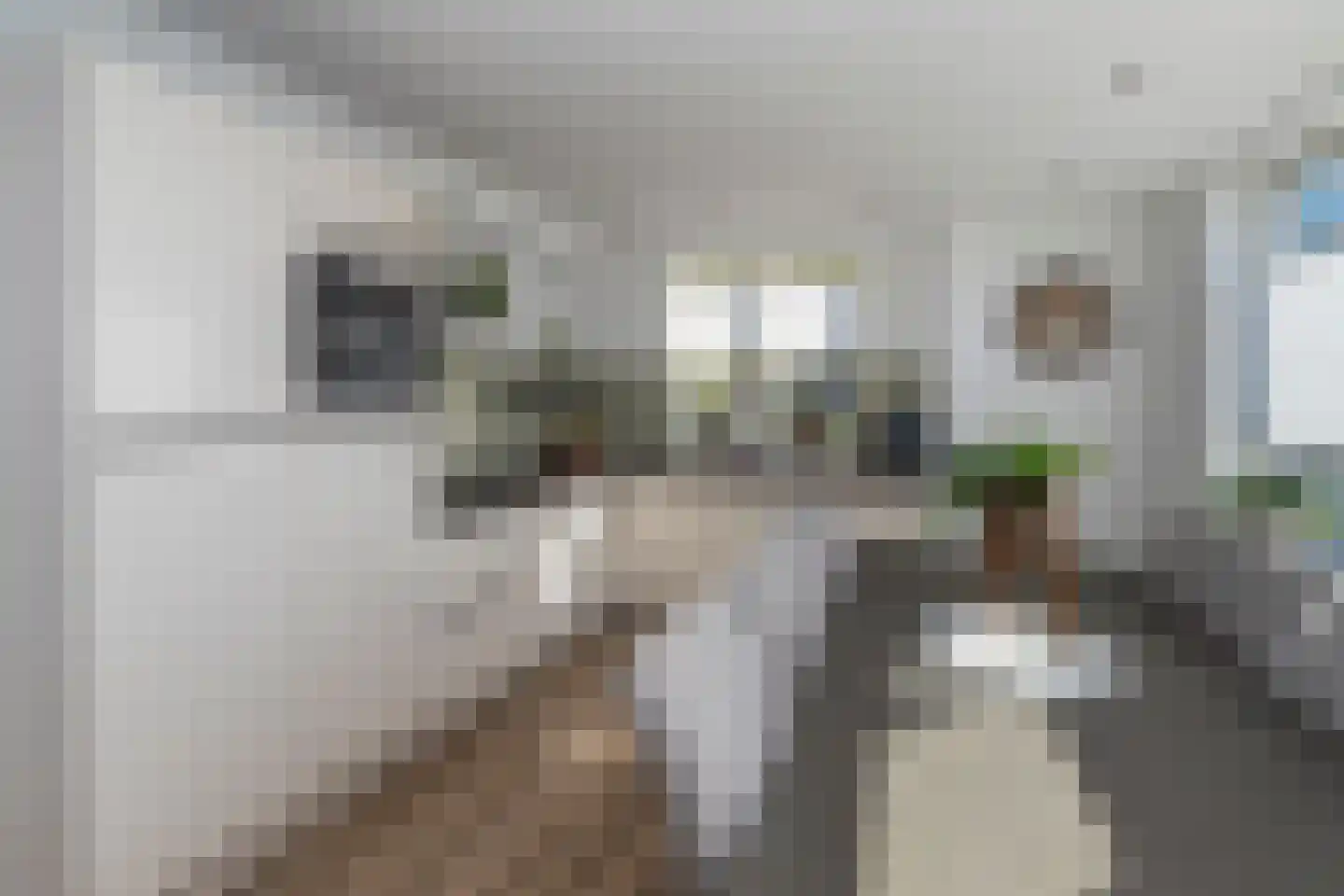 Pomonastraat 22 Naaldwijk thumbnail 11