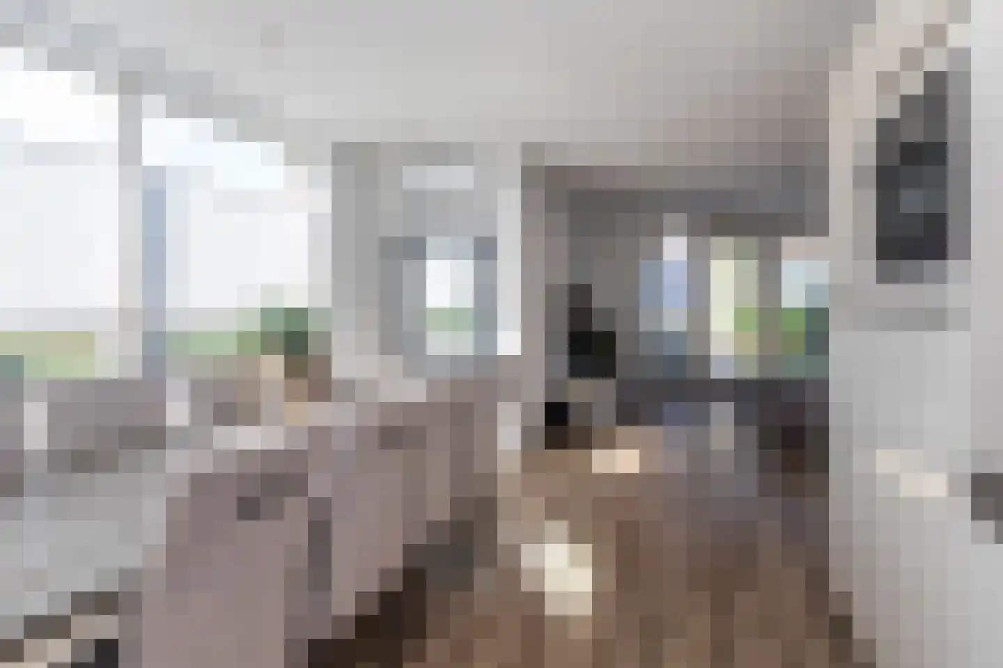 Pomonastraat 22 Naaldwijk thumbnail 14