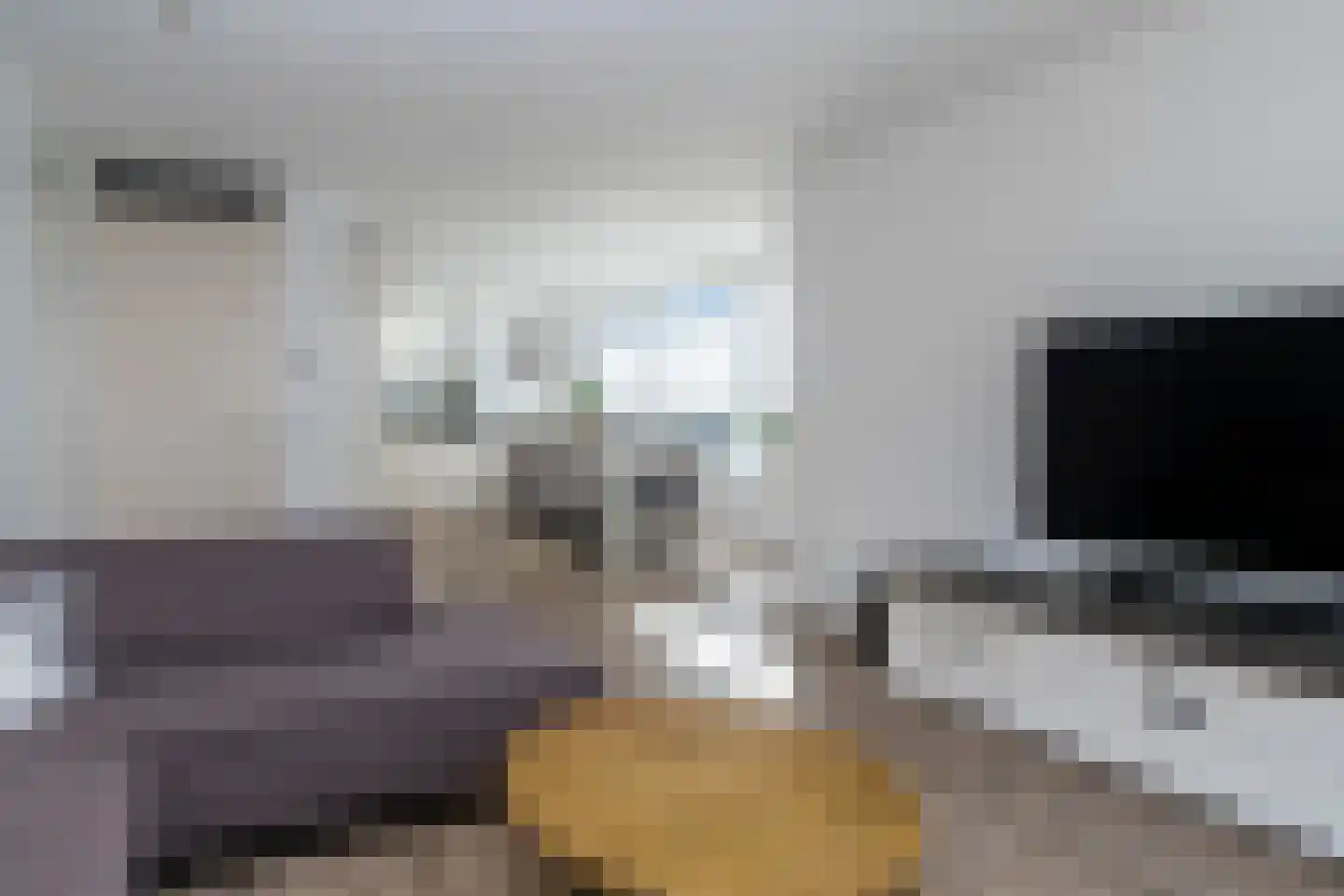 Pomonastraat 22 Naaldwijk thumbnail 15