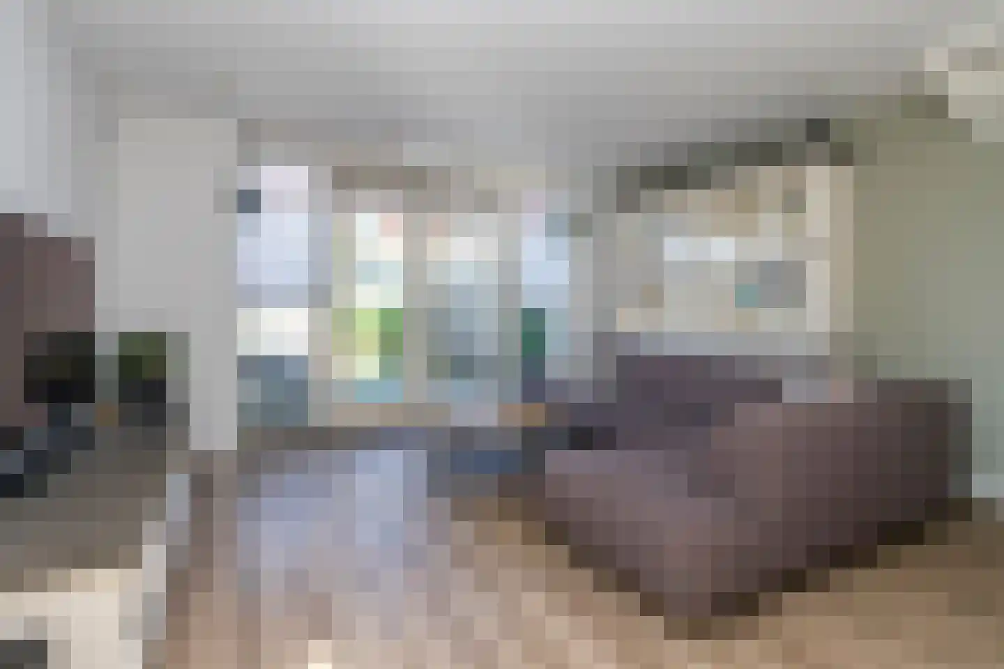 Pomonastraat 22 Naaldwijk thumbnail 16