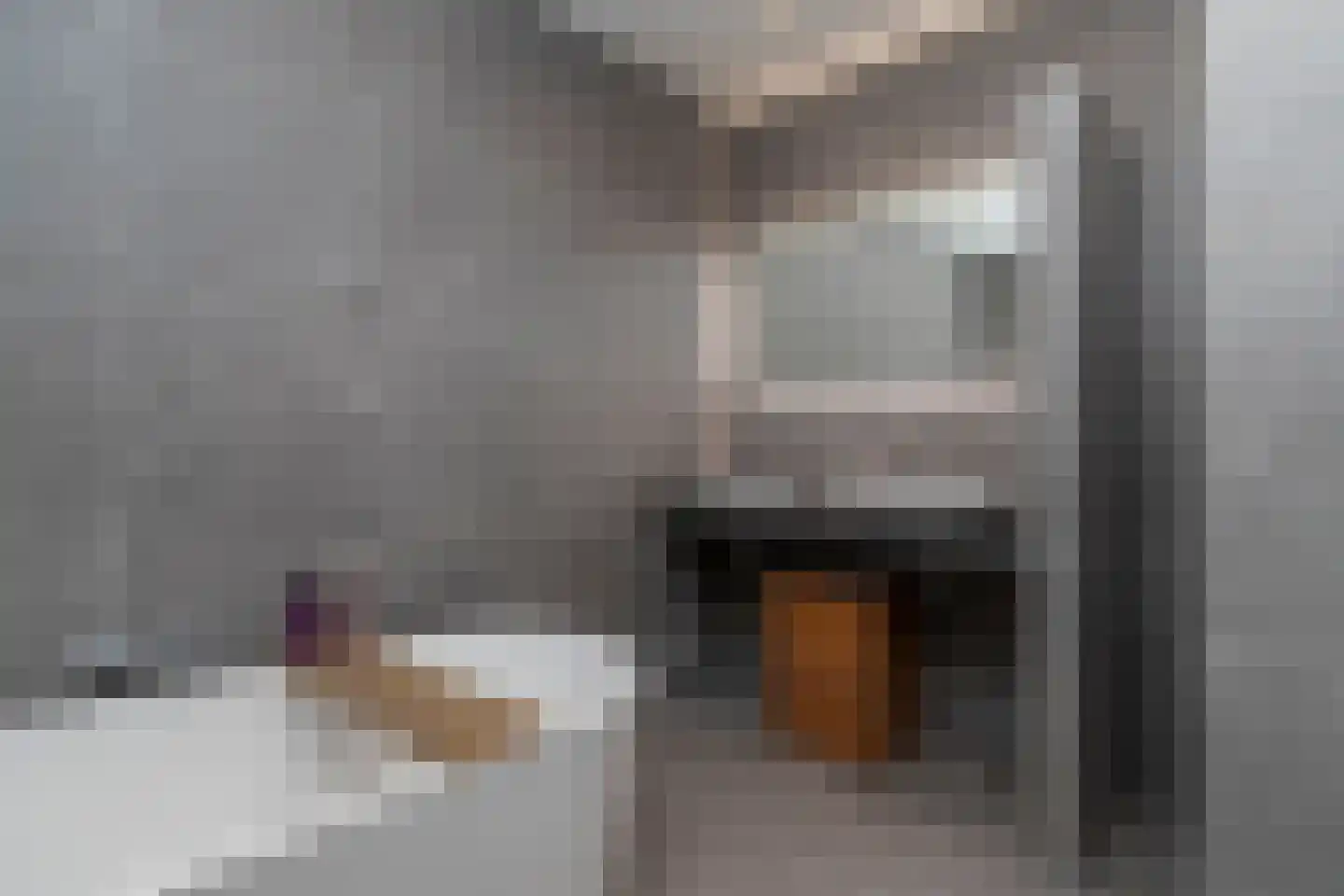 Pomonastraat 22 Naaldwijk thumbnail 23