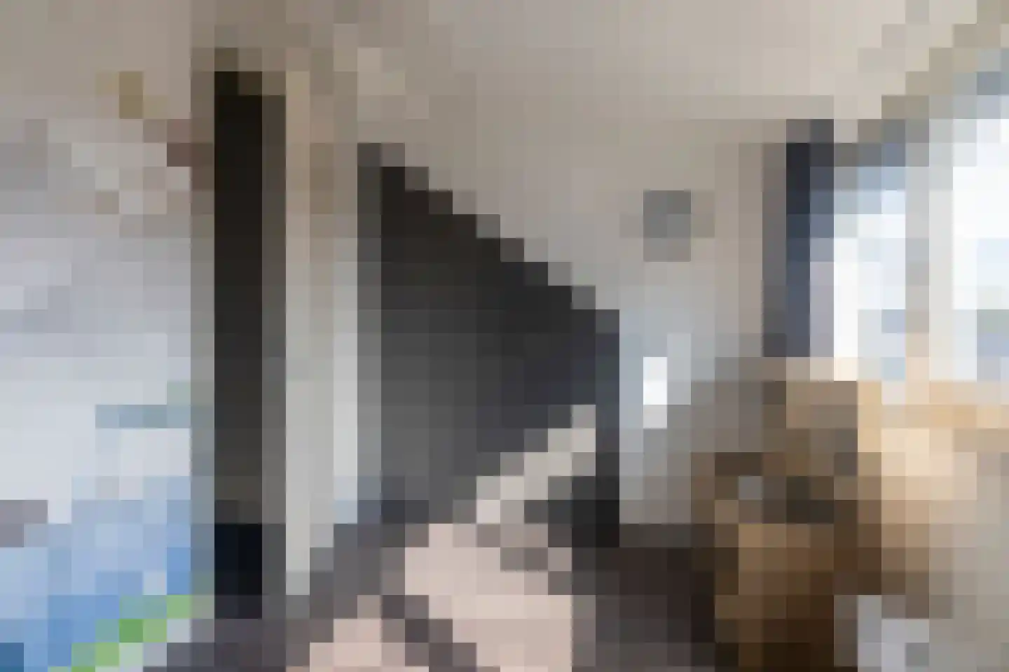 Pomonastraat 22 Naaldwijk thumbnail 32