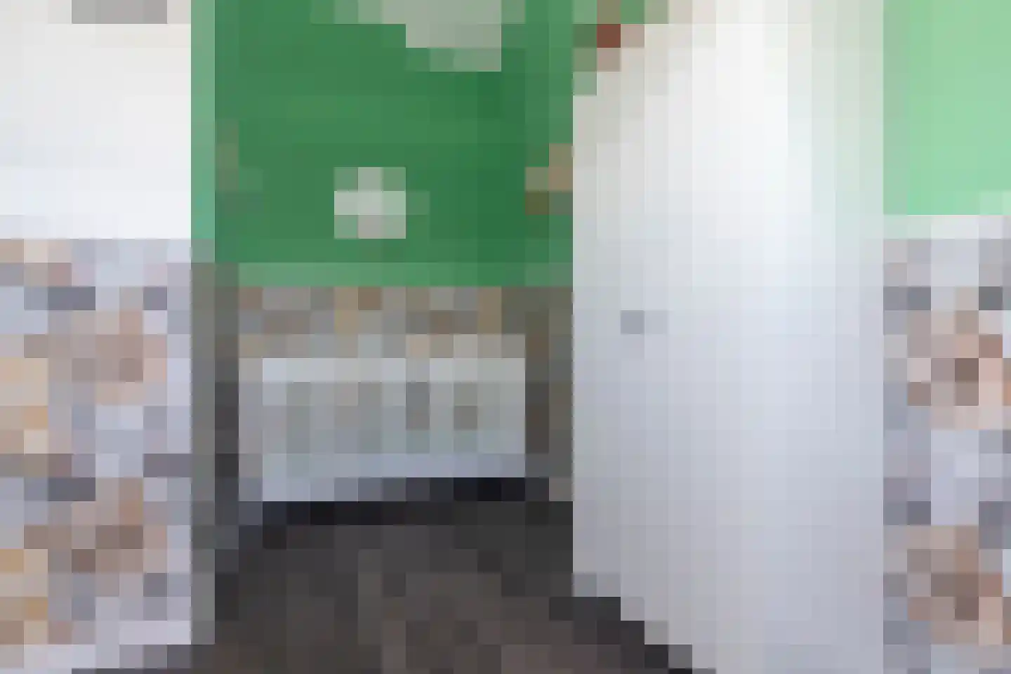 Pomonastraat 22 Naaldwijk thumbnail 35