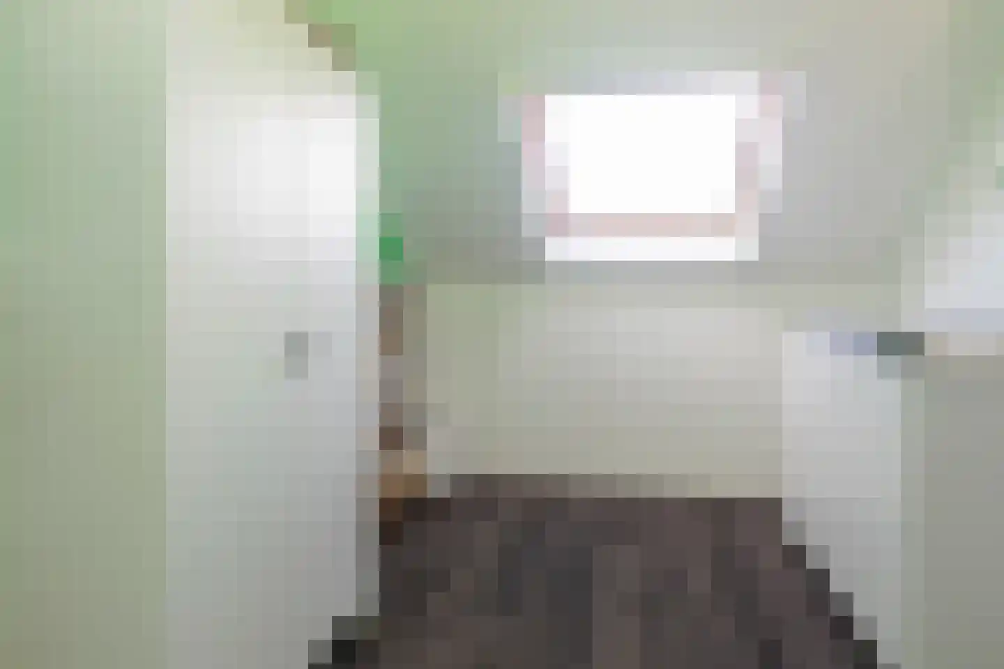 Pomonastraat 22 Naaldwijk thumbnail 36